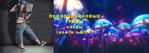 стаф Алексеевка
